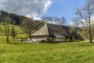 Traditional farm in the Black Forest near Titisee-Neustadt