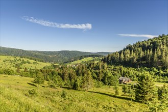 Wooded hilly landscape in the Black Forest near Todtmoos