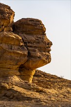 Rock in form of a face