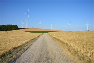 Dirt road with barley field and wind turbines in summer