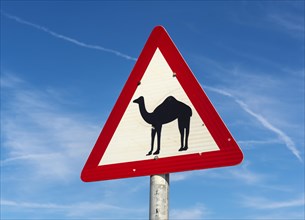 Camel crossing road sign