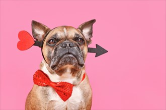 Valentine's Day French Bulldog dog with cupid love arrow and bow tie on pink background with copy space