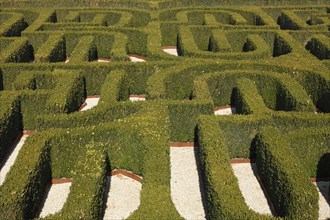 The Borges Labyrinth at the Cini Foundation's San Giorgio Maggiore Monastery