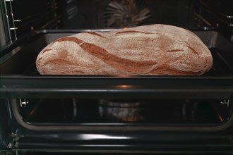 Loaf of bread in the oven tray with oven mitts