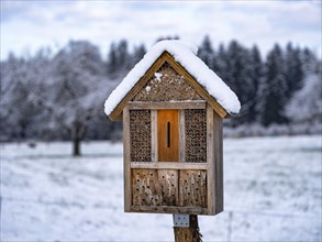 Insect hotel in snowy landscape