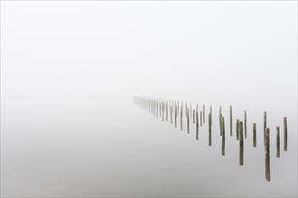 Anchor piles in the fog on autumnal Lake Duemmer