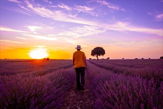 A young man in a lavender field at sunset with the sun in the background