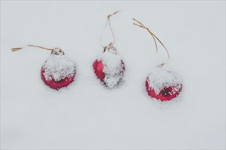 Christmas baubles covered with snow