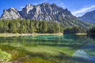 Green lake on a sunny day