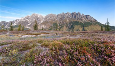 Alpine meadow in autumn with frost