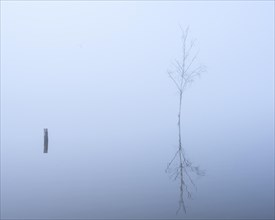 Lake Duemmer in the fog