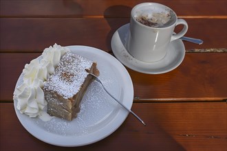 Apple strudel with cream and a cup of cappuccino served in a cafe