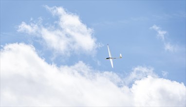 Gliders in the sky