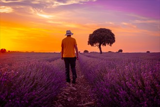 A young man in a lavender field at sunset