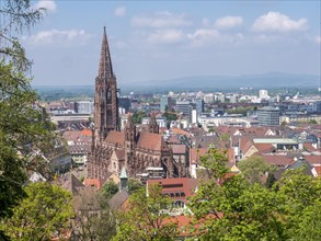 View from the Schlossberg to the city panorama and the Catholic parish church Freiburger Muenster