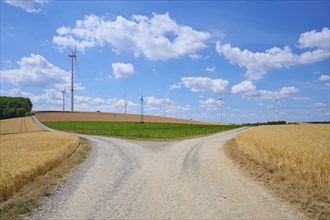Forked dirt road with barley field and wind turbines in summer