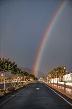Rainbow over a street with palm trees