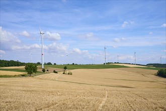 Landscape with harvested grainfields and wind turbines in summer