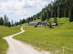 Hiking trail and cycle path to the Hermagorer Bodenalm