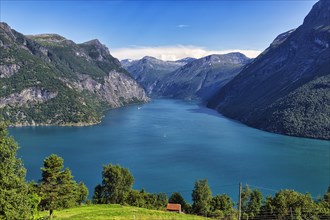 Fjord landscape in summer