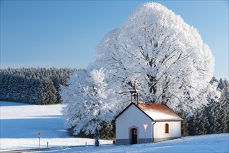 Chapel in front of tree in frost