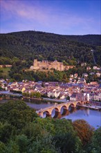 View of Heidelberg