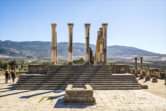 Well-preserved roman ruins in Volubilis