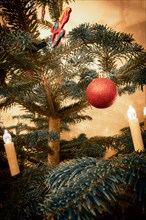 A red Christmas tree ball on a Christmas tree with Christmas tree lights