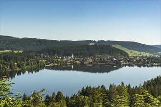 View over the Titisee in the morning light