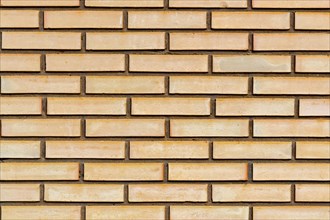 Background of a brick wall