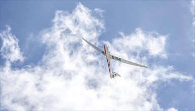Gliders in the sky