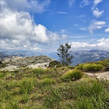 Barren landscape on the hiking trail to Preikestolen