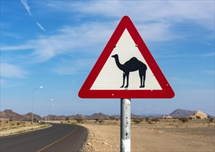 Camel warning traffic sign