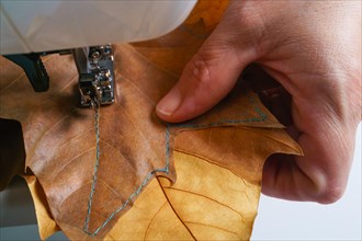 Woman machine sewing dried tree leaves with blue thread