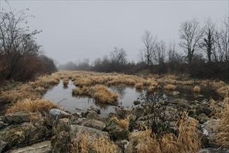 River between scrub with fog
