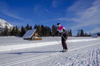 Cross-country skiers on cross-country trails