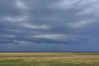 Savannah landscape with thunderstorm clouds