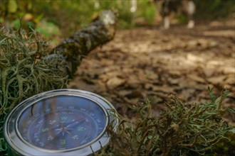 Moss-covered compass