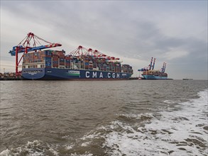 Two container ships at the container terminal of Wilhelmshaven