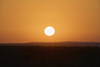 Savannah landscape with sun at sunrise