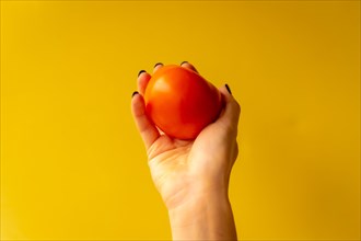 Woman's hand with a vegetable on a yellow background
