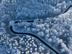 Bird's eye view of a country road leading through a snow-covered forest
