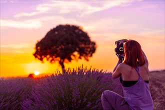 A woman photographs at sunset in a lavender field