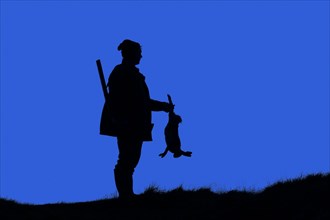 Hunter with gun holding killed brown hare silhouetted against sunset