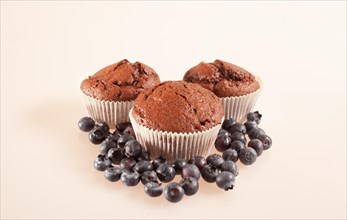 Chocolate muffins with blueberries