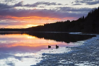 Loch Morlich at sunset in winter