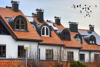 Modern terraced house roofs