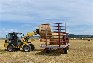 Round bales are loaded onto trailers with a wheel loader
