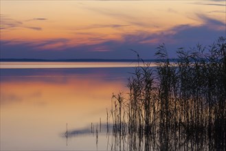 Lake Mueritz at sunset in the Mueritz National Park