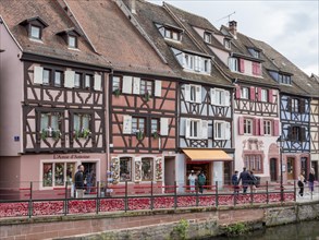 Half-timbered houses along the course of the Lauch in the district of La Petite Venise